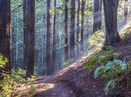 30-day rental Oakland California